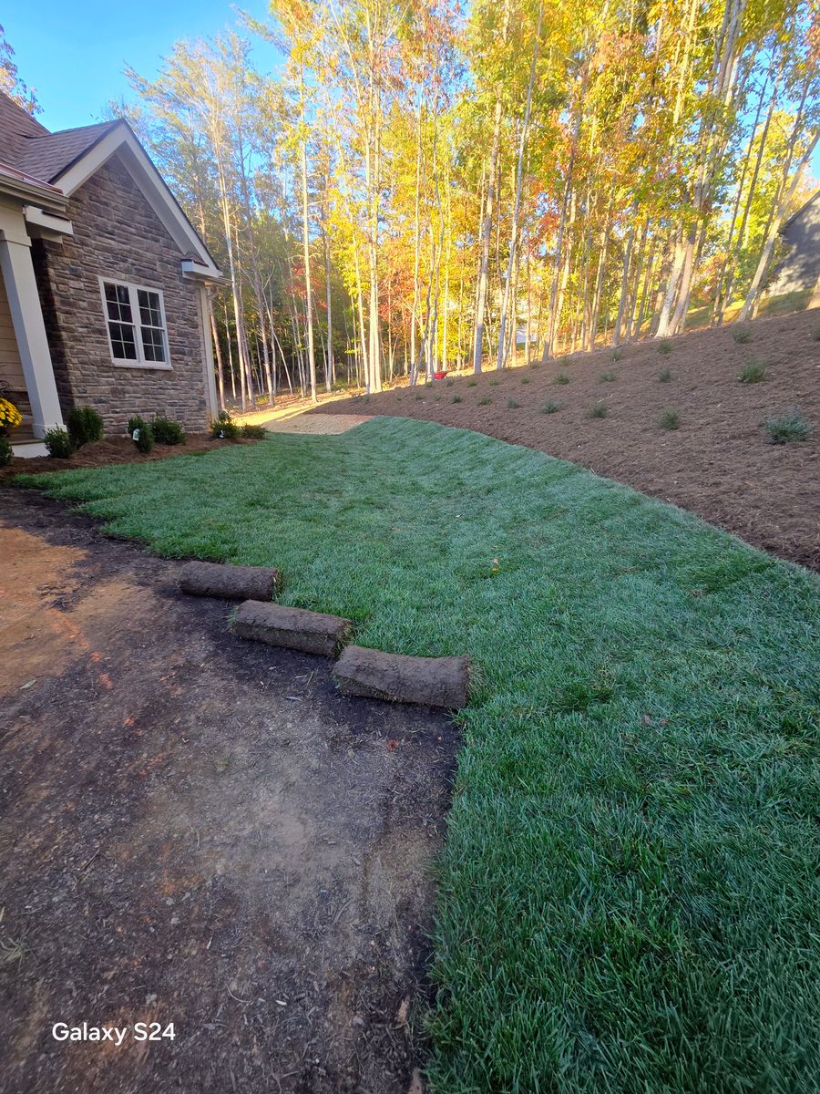 Sod installation for C4 TrueVision Renovations in Asheville, NC