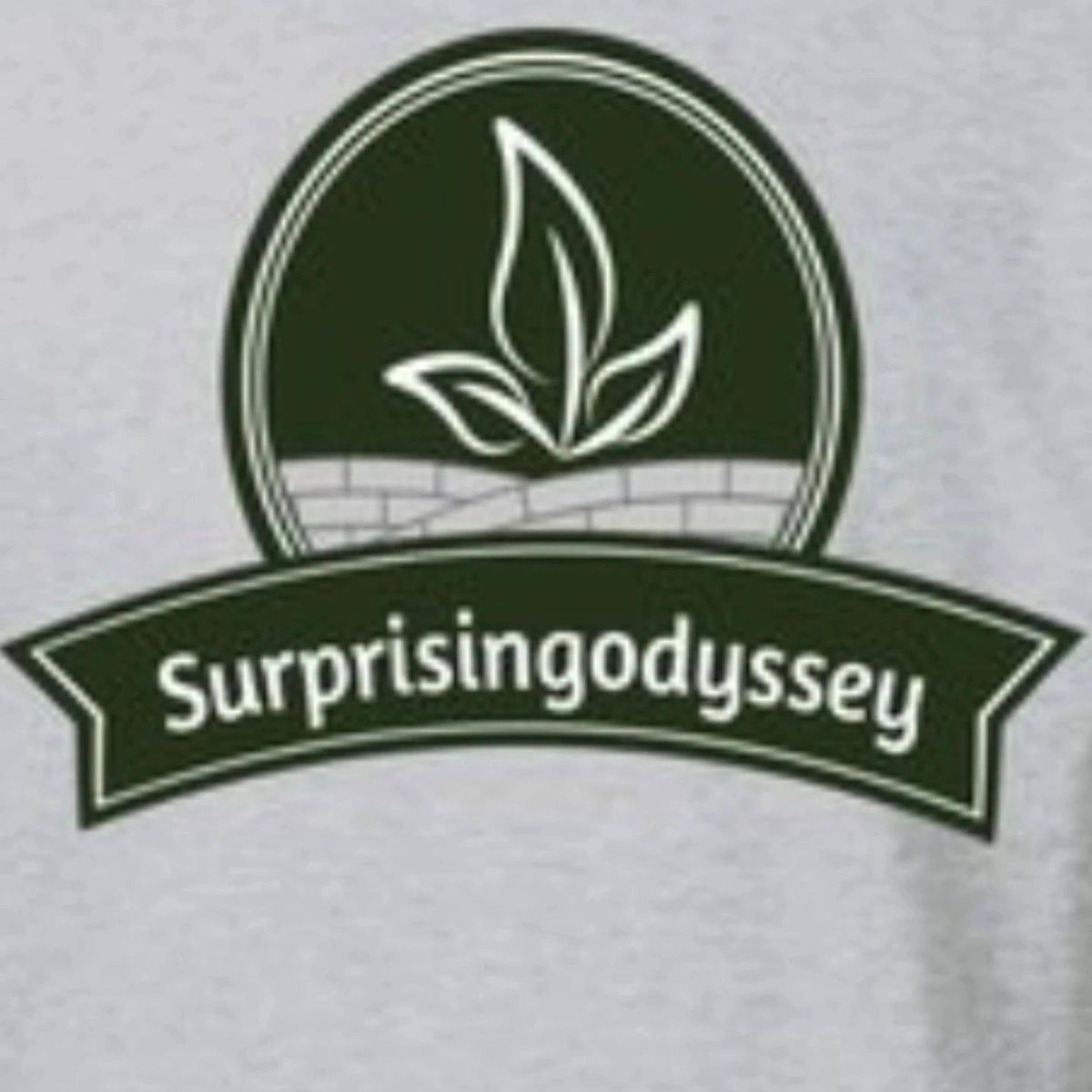 Landscaping for Surprising Odyssey in Gibsonville, NC