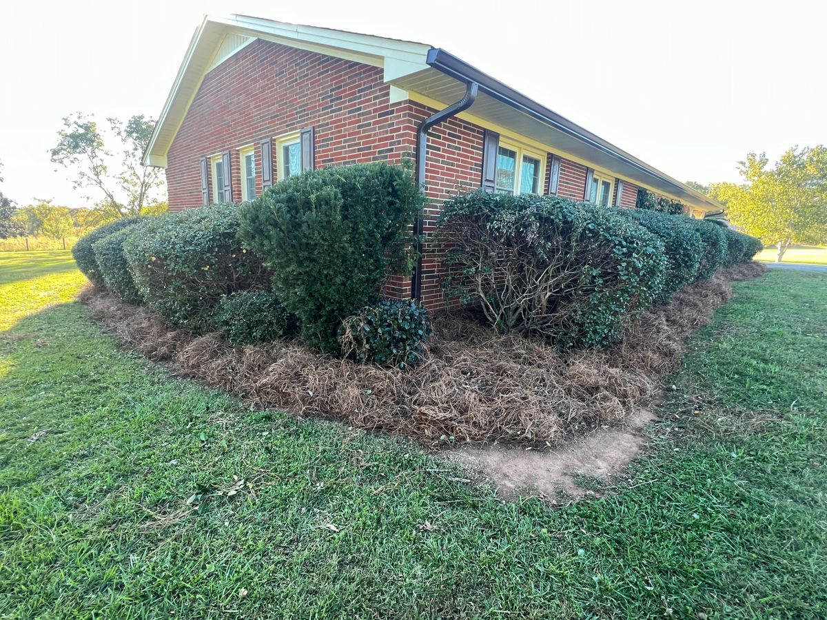 Hedge Trimming for LC Lawn Care & Landscaping in Canon, GA