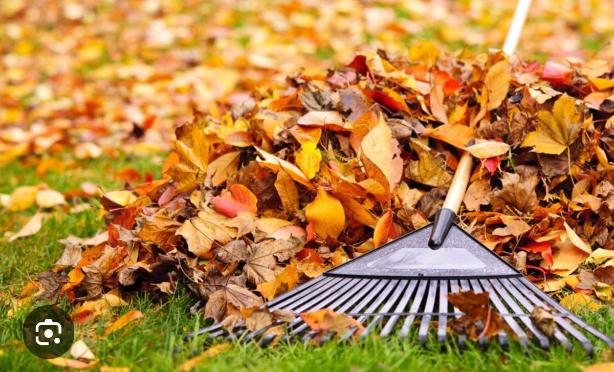 Fall Clean Up for Pioneer Services Utah in Draper, UT