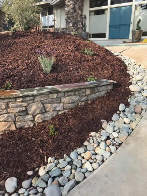 Drought Tolerant Landscapes for Blue Water Landscape Services in El Dorado Hills, CA