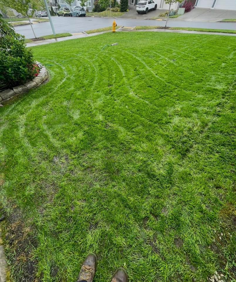 Lawn Maintenance for B.U Landscaping in Everett, WA