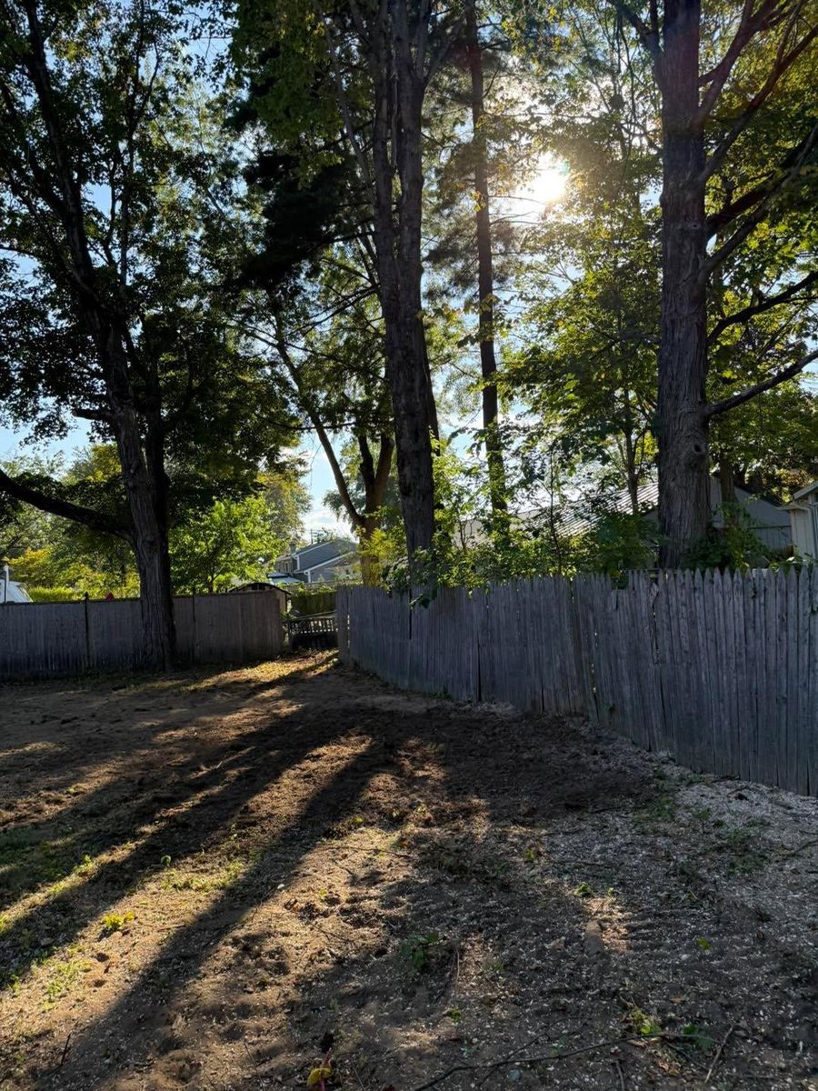 Storm Cleanup for Sterlings Tree Removal in Cobleskill, New York