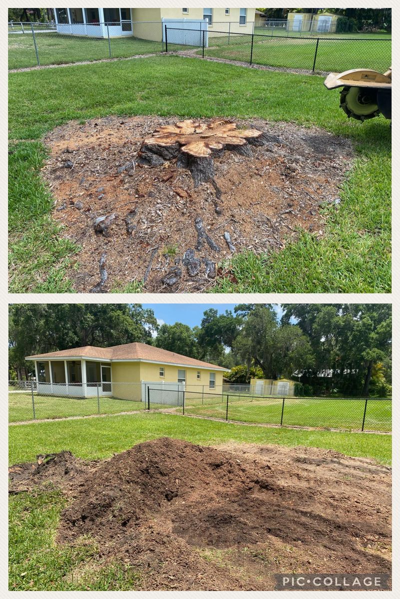 Stump Removal for Adam's Tree and Stump Care in Bradenton, Florida