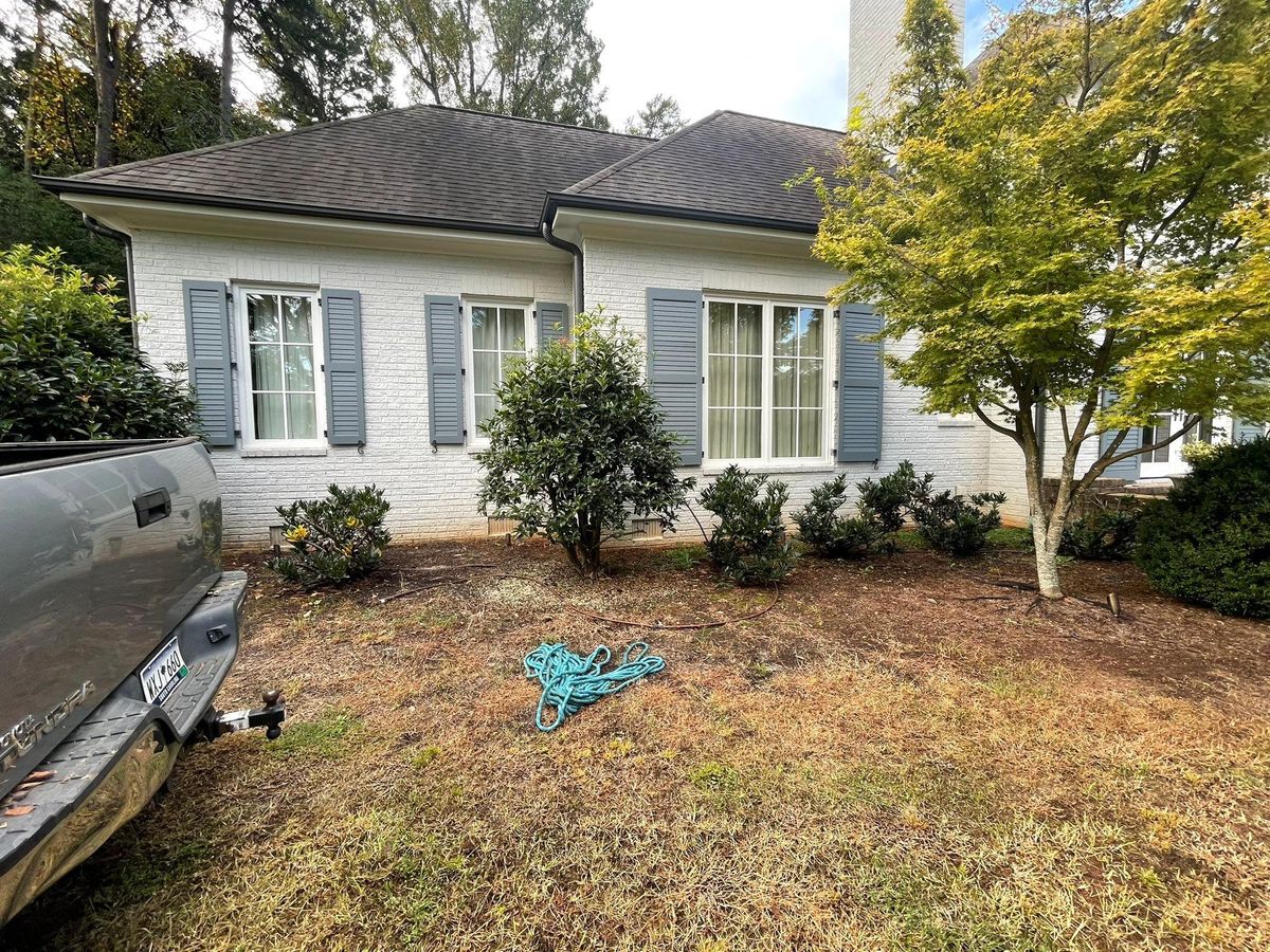 Tree Maintenance for Down To Earth Tree and Landscaping in Greenville, SC