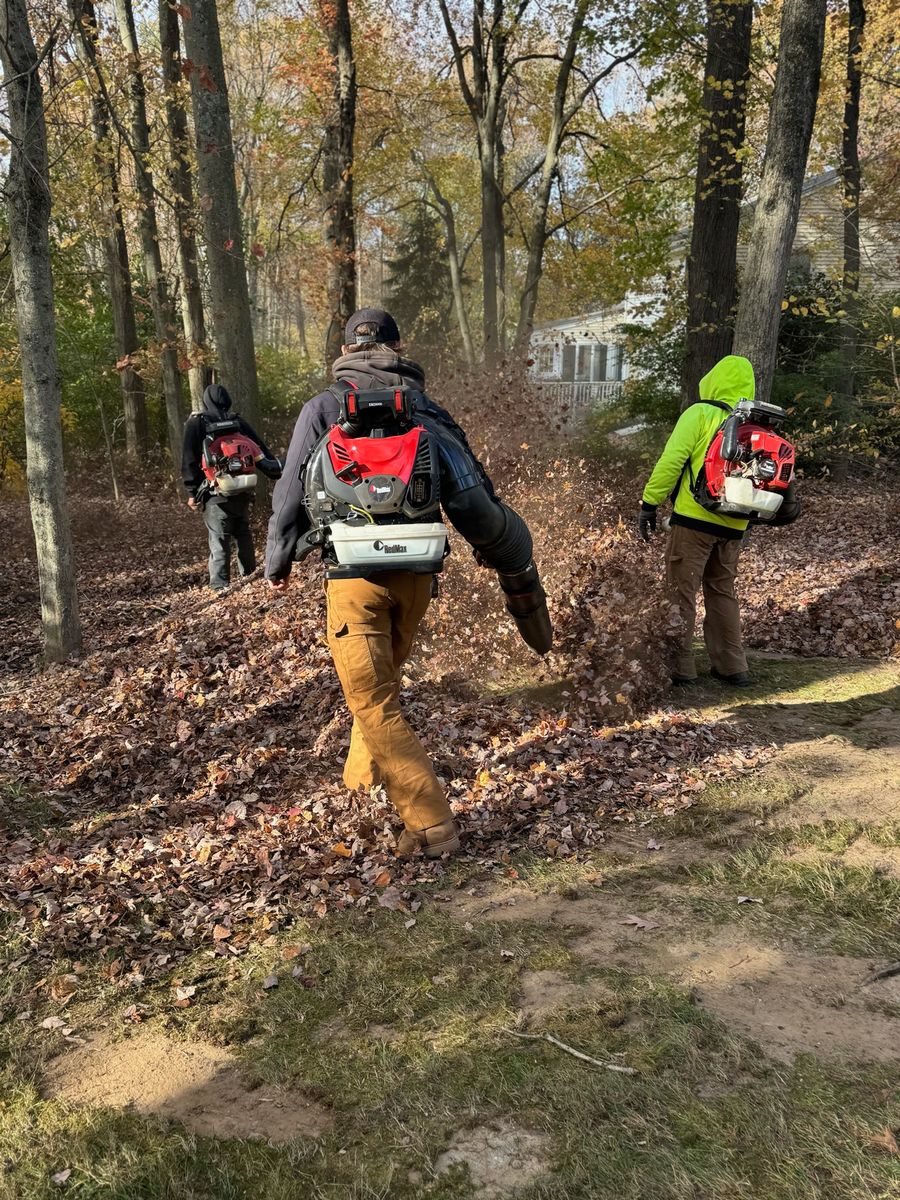 Fall Clean ups & Curbside Leaf Removal for Ace Landscaping in Trumbull, CT