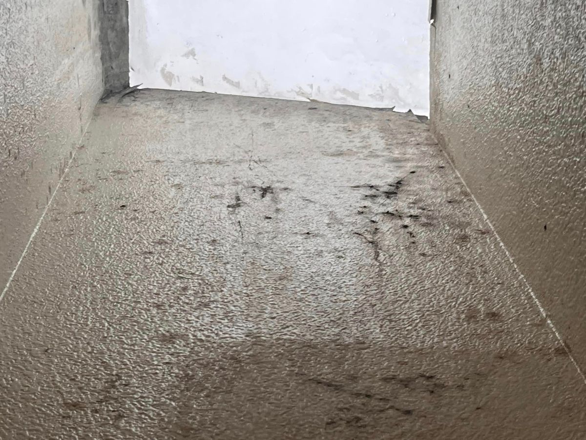 Mold Inspections for Lira Home Inspections in Concord, CA