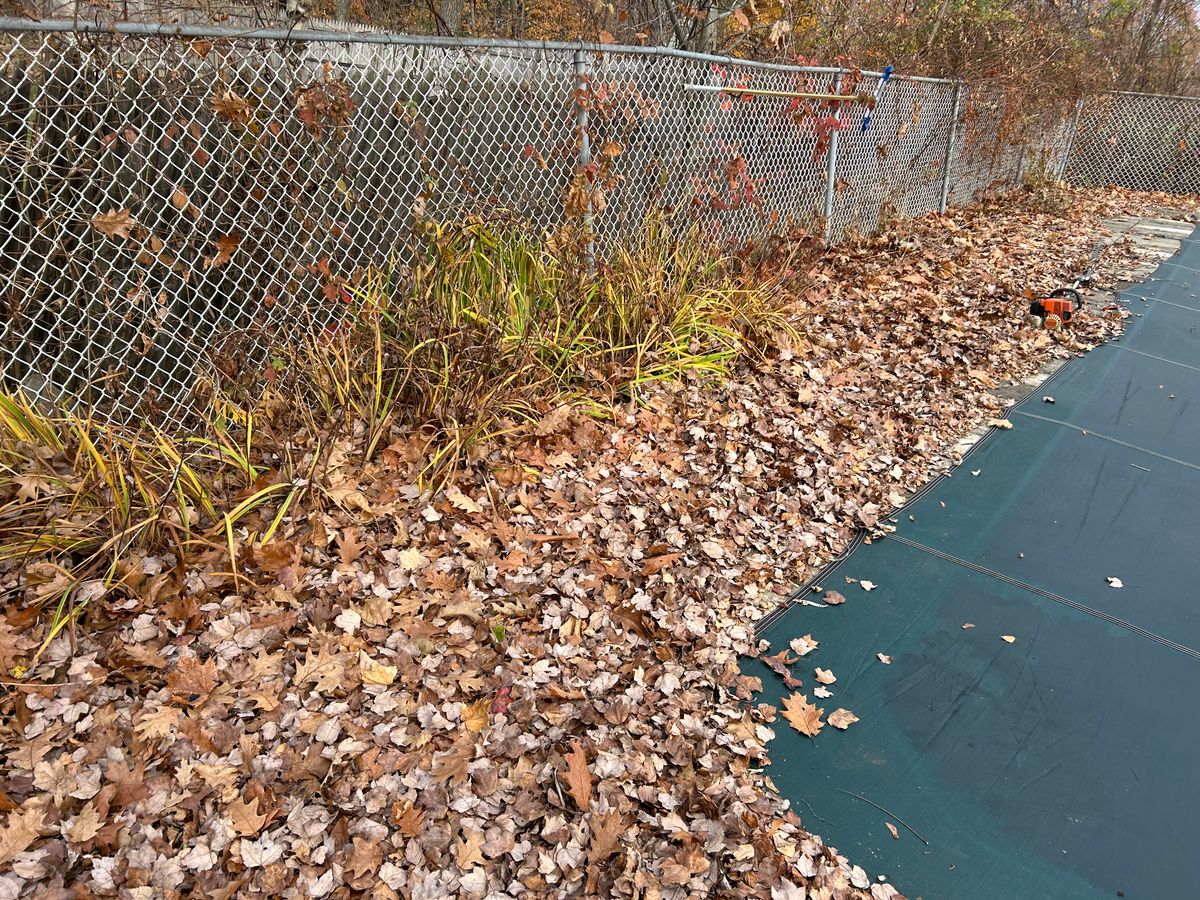 Fall Clean Up for CM & Sons Landscaping LLC in Benton, ME