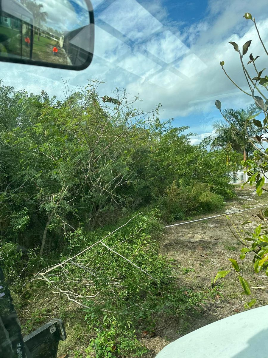 Bush Hogging for Windspirit Land Services in Hillsborough County, FL