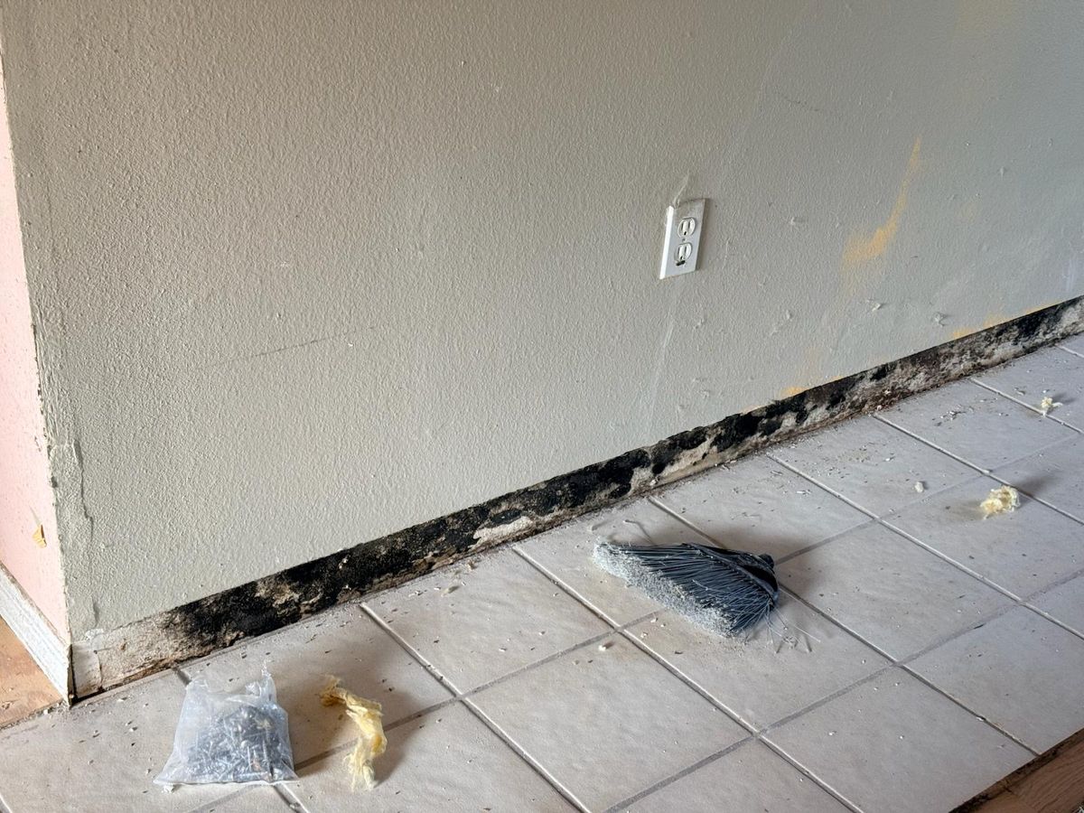 Cleaning for N&D Restoration Services When Disaster Strikes, We Come In in Cape Coral,  FL