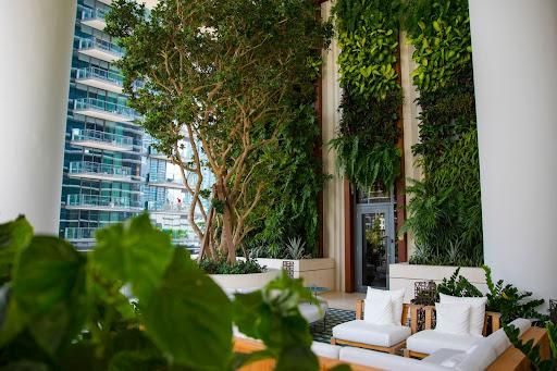 Landscaping for Arazoza Brothers Corporation in Miami, FL