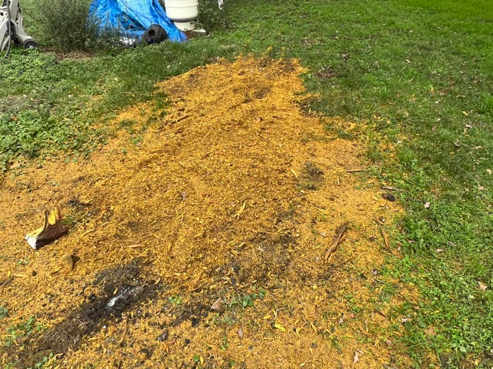 Stump Removal for JDR Texas Landscaping Pros in Seagoville, TX