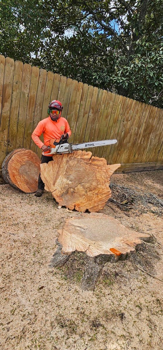 Stump Removal for Servin's Tree Care  in Houston, TX