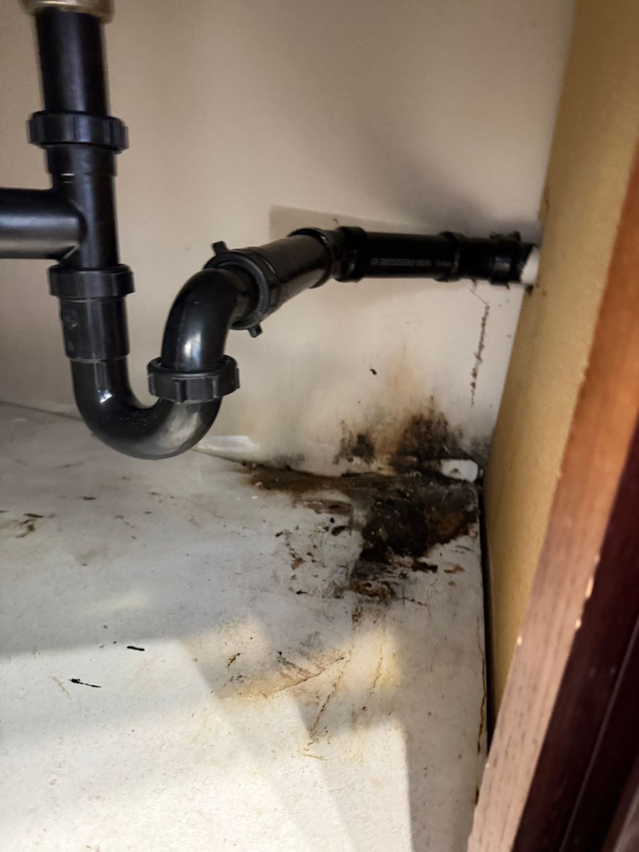 Consulting for ACM Environmental in Salt Lake City, UT