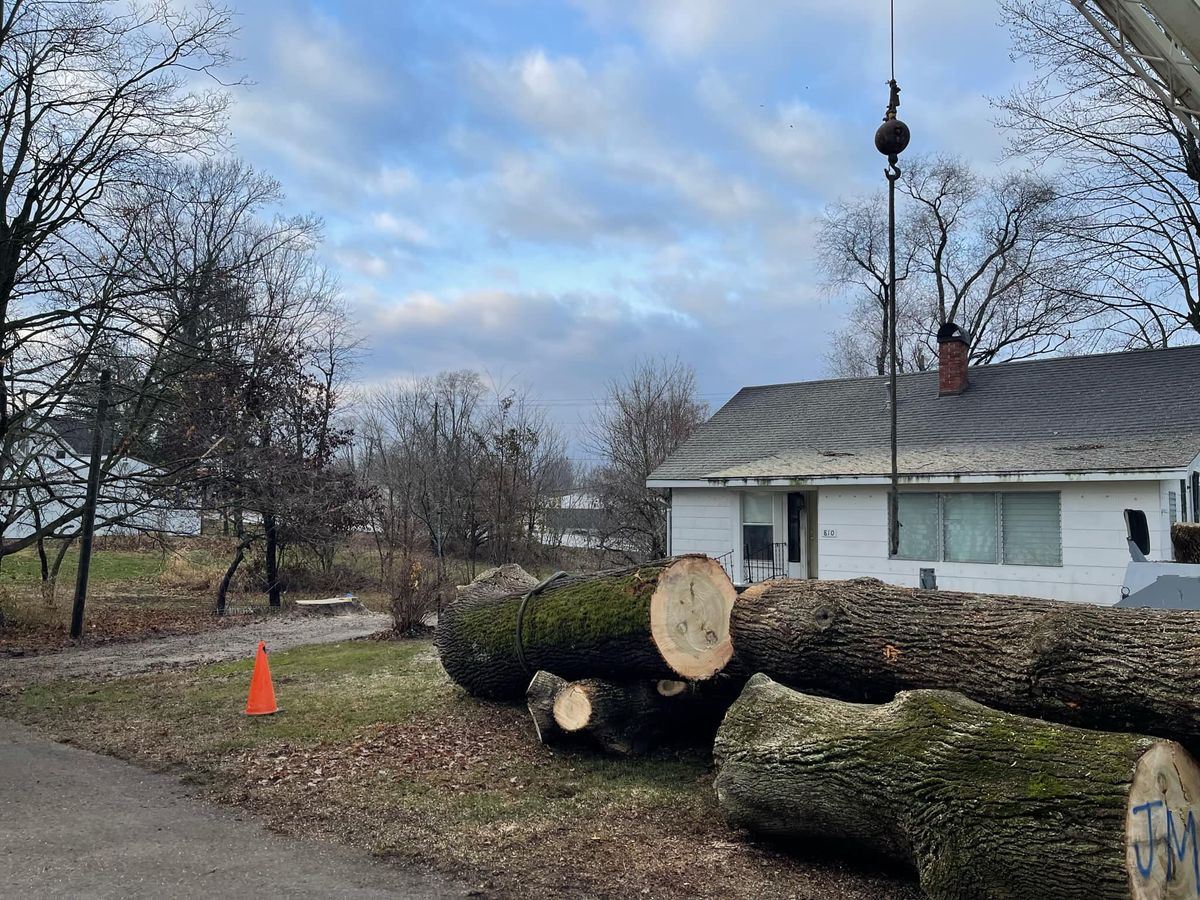 Tree Removal for Advanced Tree Solutions in Rockville, IN