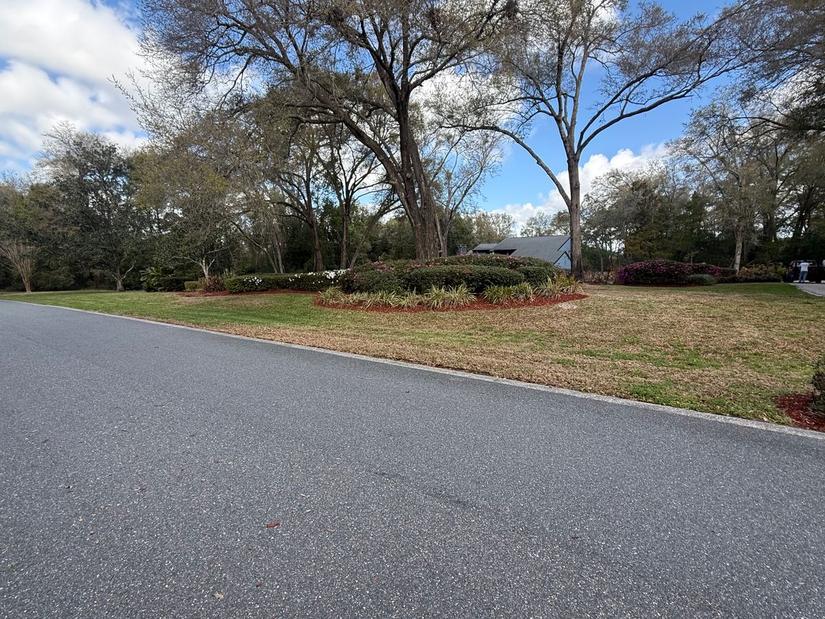 Tree Pruning for Amerigrown Tree And Lawn in Apopka, FL