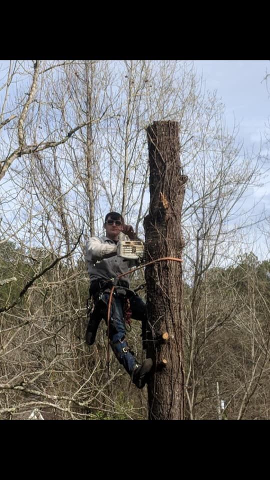 Tree Removal for Jeff’s Tree Service in Southside, AL
