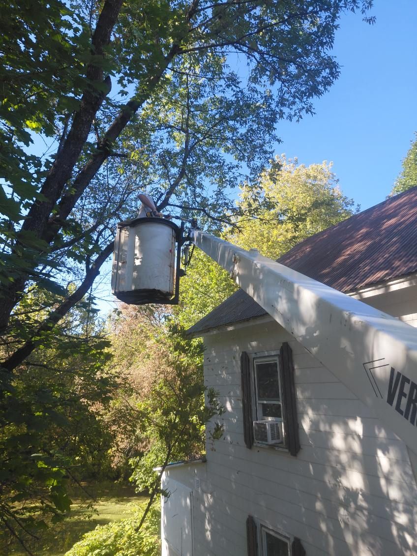 Tree Removal and Trimming for First Response Reconstruction LLC in New Hampshire, NH