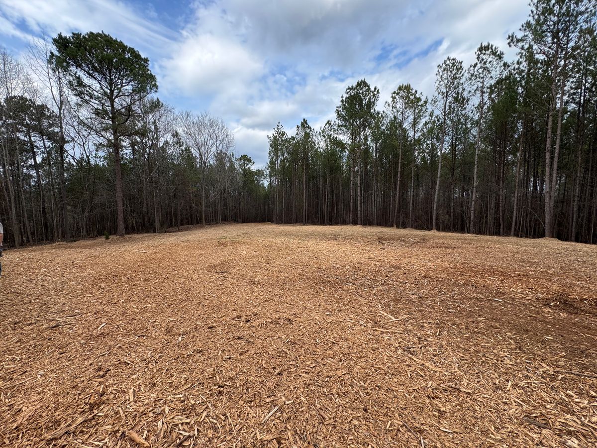 Forestry Mulching for KLNAX Enterprises in Newton County, GA