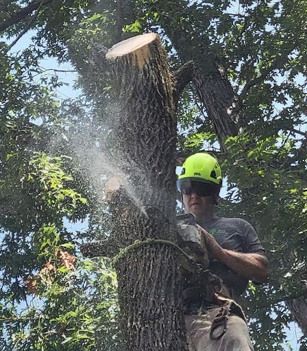 Tree Removal for Trees Unlimited of the CSRA in Augusta, GA