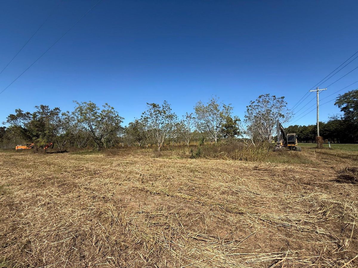 Site Preparation for Southern Land Improvements in Edgefield, SC