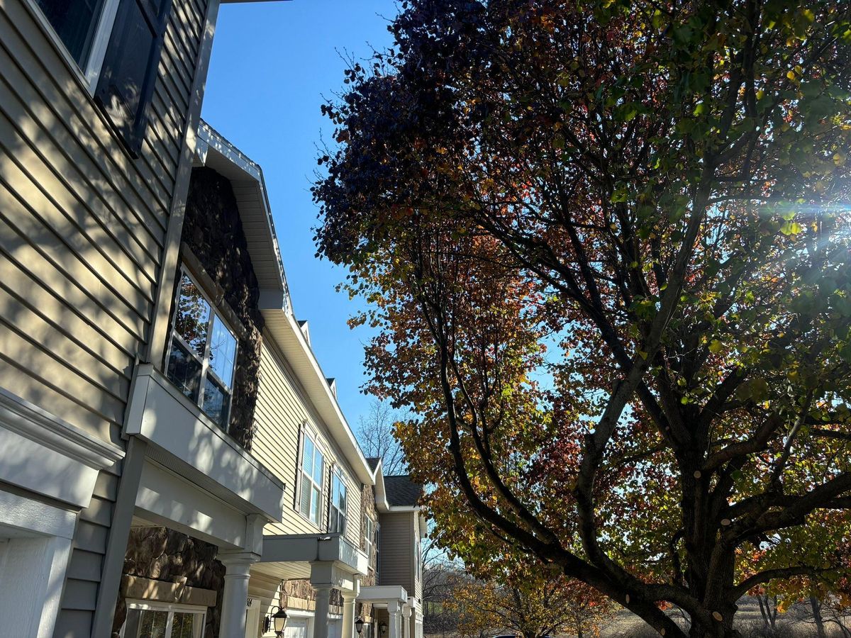 Tree Removal for T's Trees in Albany, NY