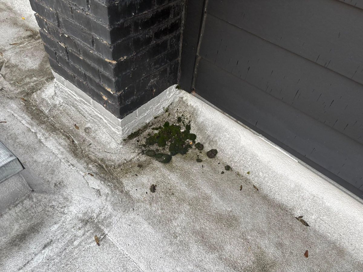 Pressure Washing for Orcutt Roofing & Home Repair Professionals in Portland, OR