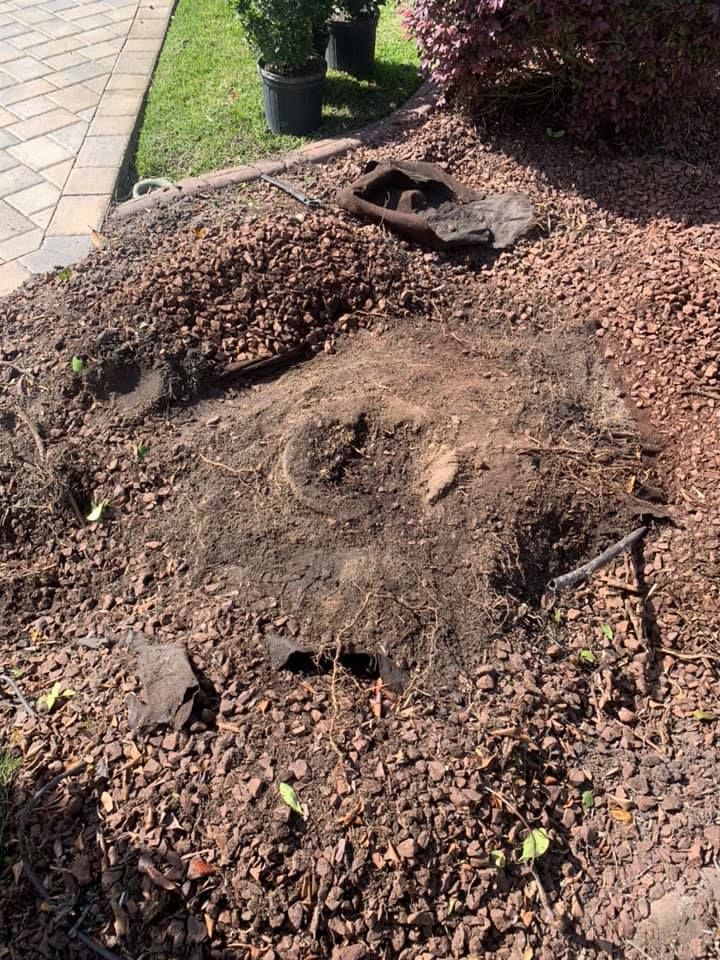 Tree Removal for R.B. & Company in Belleview, FL