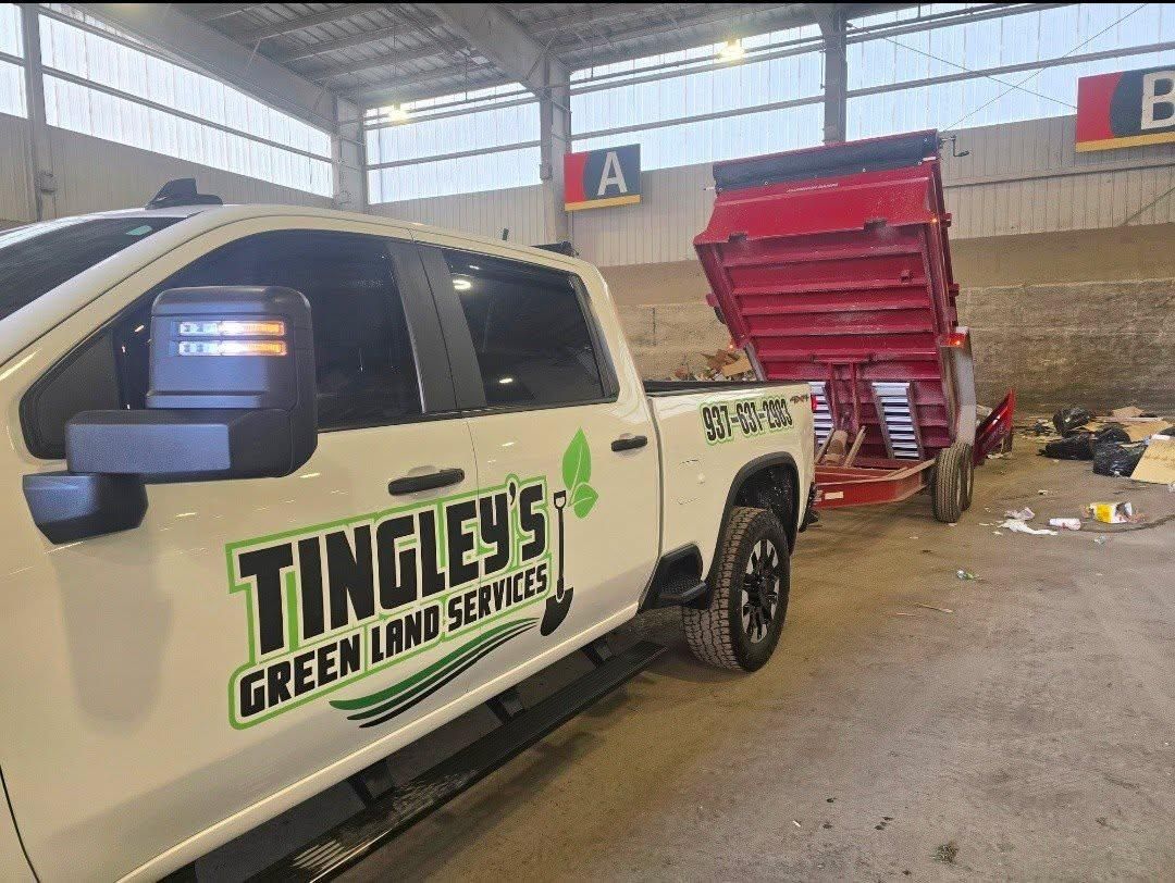 Tree Removal for Tingley's Green Land Services in Springfield, Ohio
