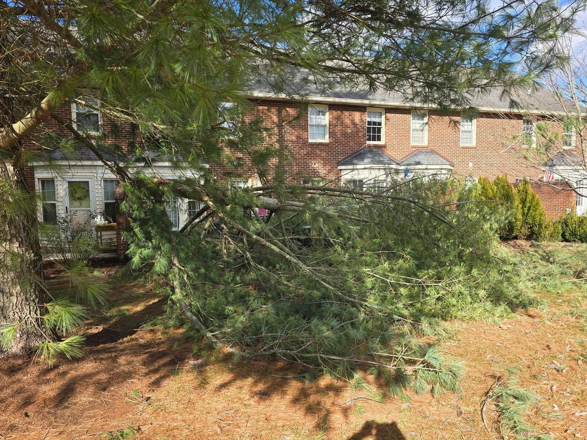 Property clean up for M&L Lumber and Excavating in Jonesborough, TN