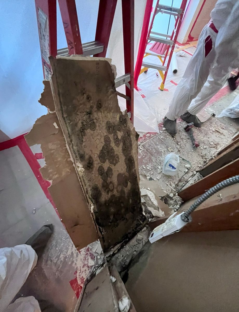 Mold Remediation for ACM Environmental in Salt Lake City, UT