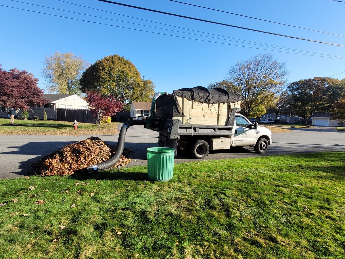 Clean Up for Reyky Landscaping & Masonry LLC in Providence,  RI