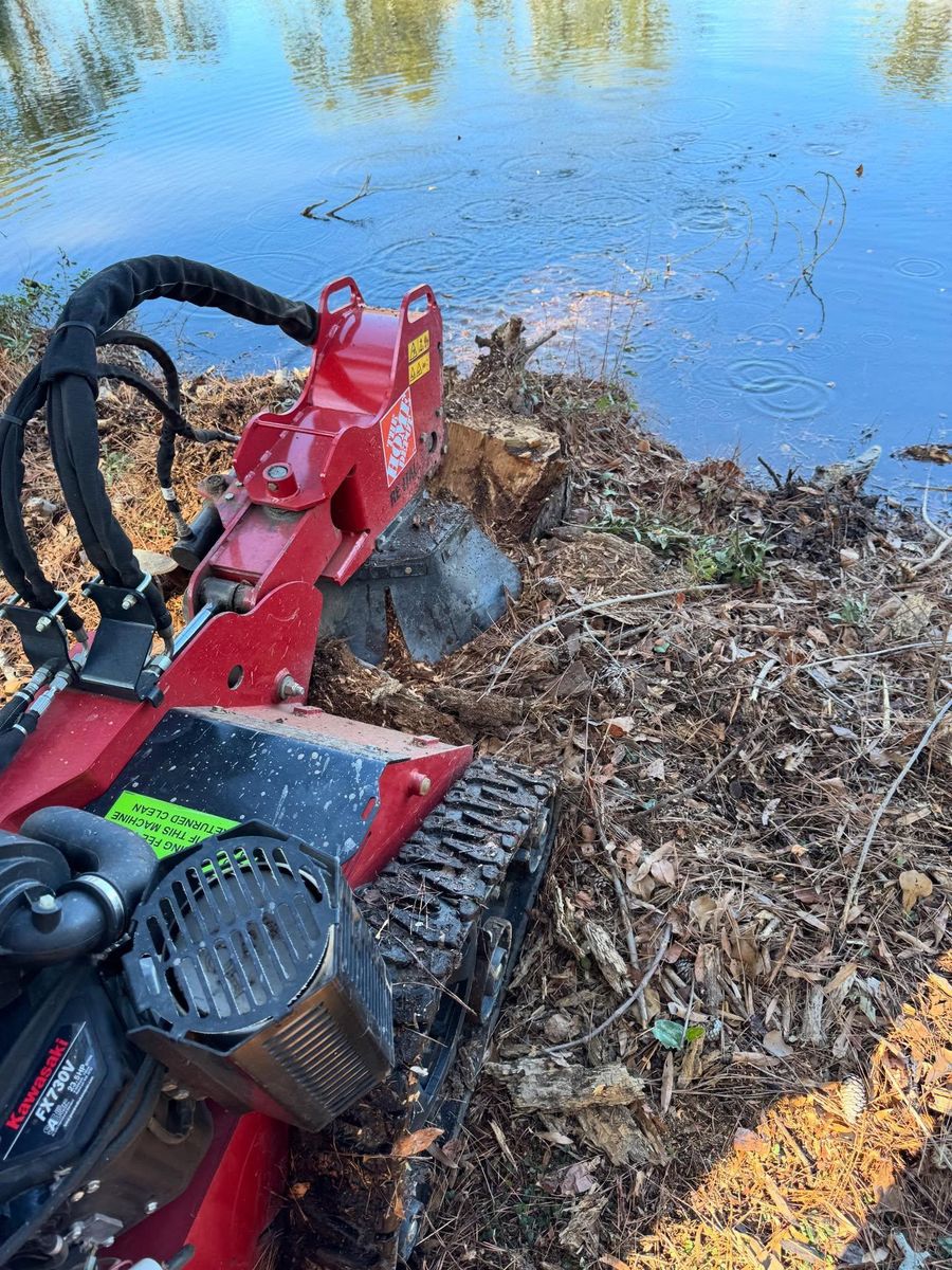 Other Lawn Services for Shang's Landscaping Service in Columbia, South Carolina