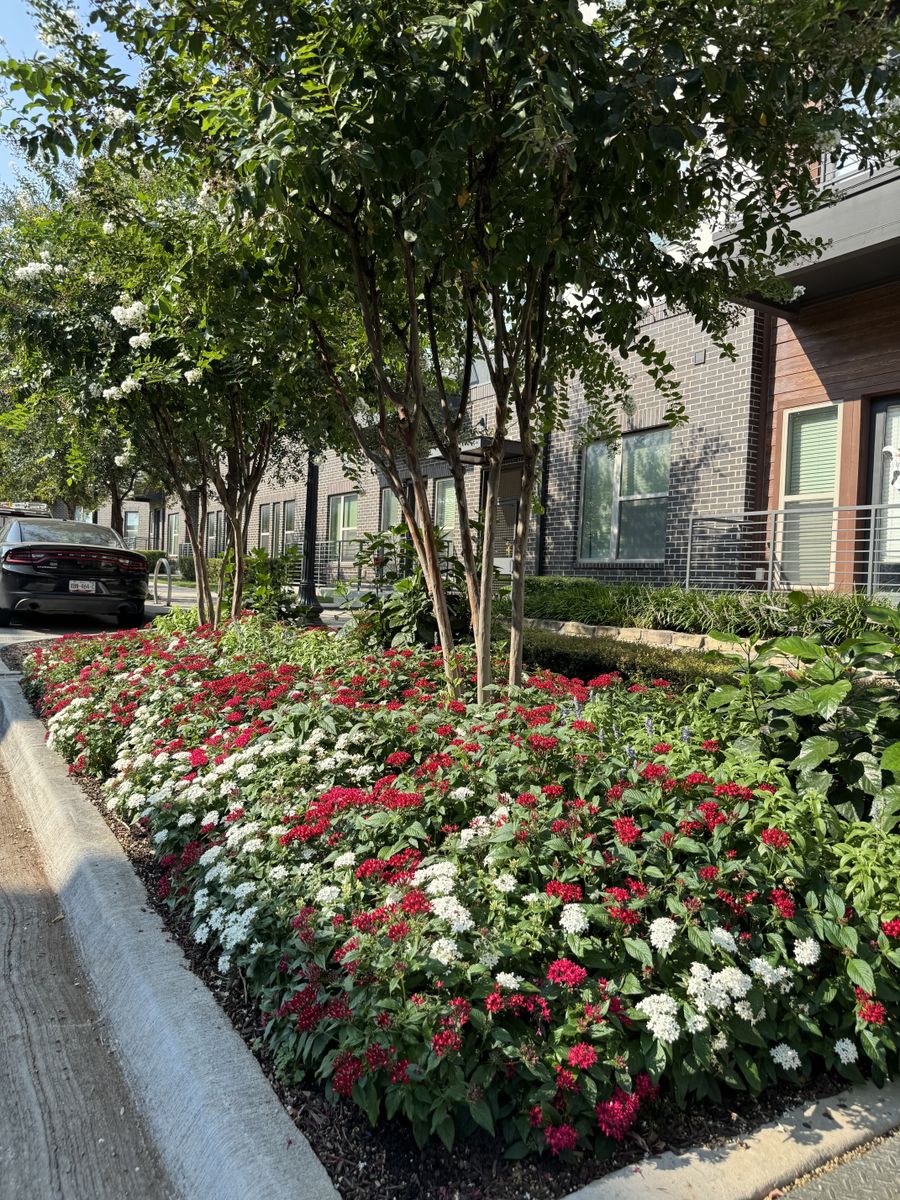 Seasonal color changes for Guerrero's Landscape in Fort Worth,  TX