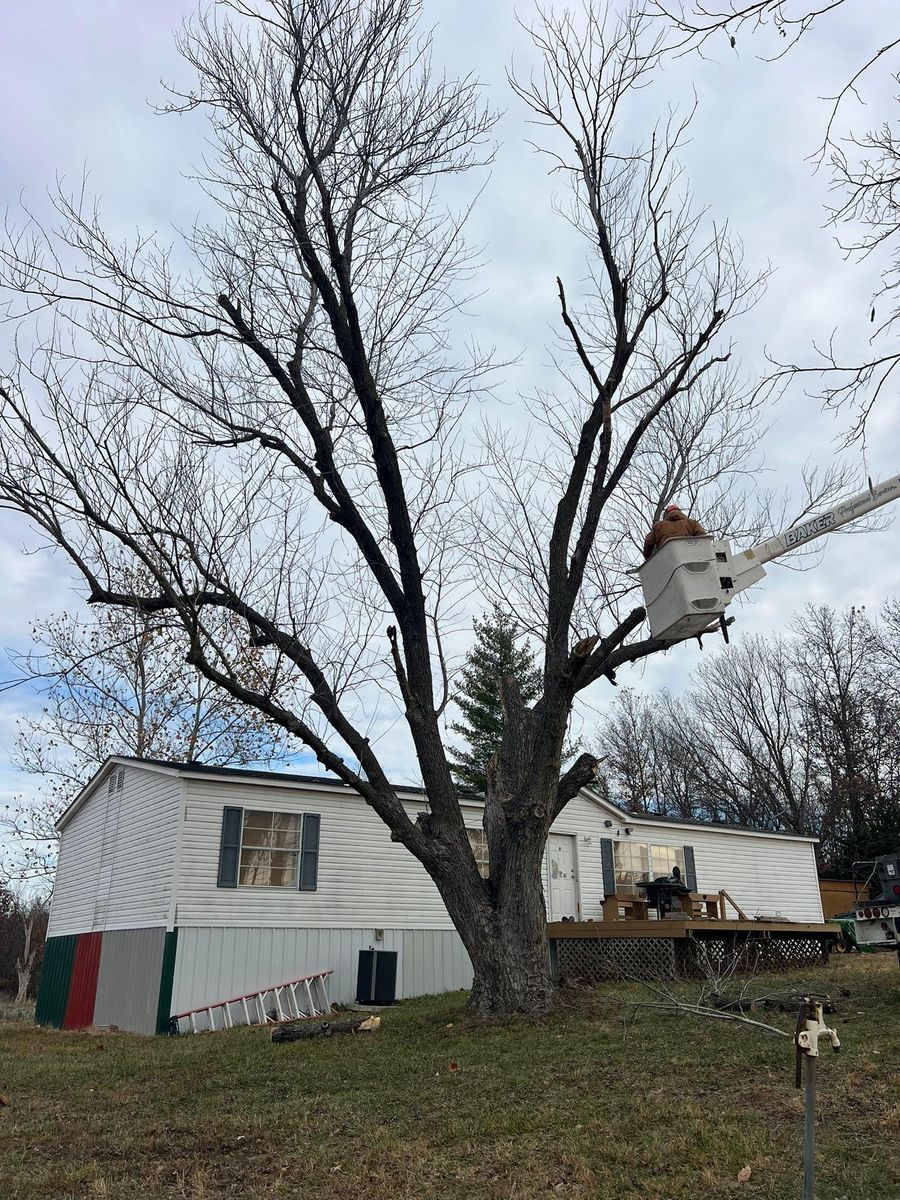 Tree Removal for Baker Professional Services LLC in Shelbina, MO