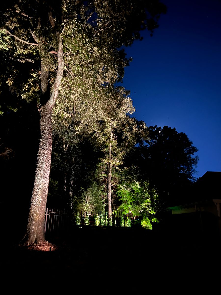 Landscape Lighting for Delta Lightscapes Outdoor Lighting in Memphis, TN
