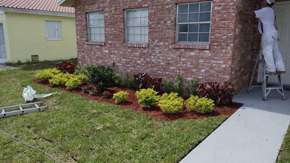 Mulch Installation for Wallack And Sons Landscape Design And Management in Hollywood, Florida