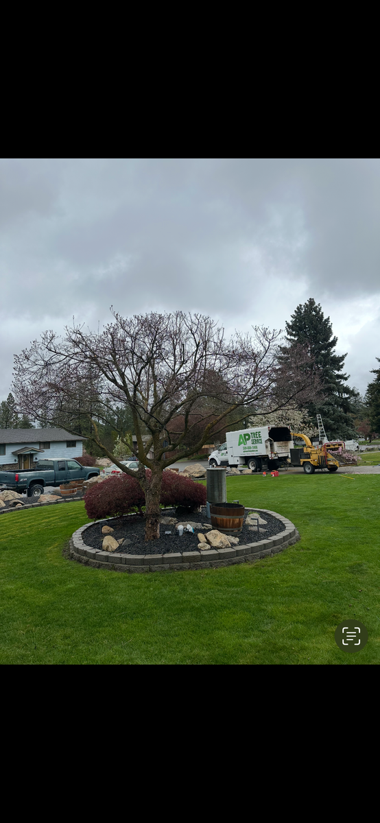 Tree Trimming for AP Tree Service in Colbert, WA