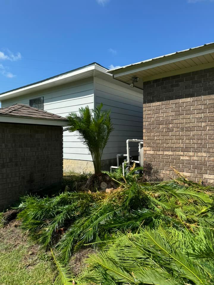 Landscape Design for Sierra Verde Landscaping in Vidalia, GA