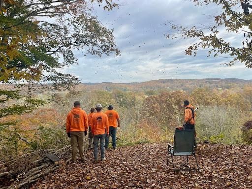 Tree Removal for Ross Family Tree Service LLC  in Hohenwald, TN
