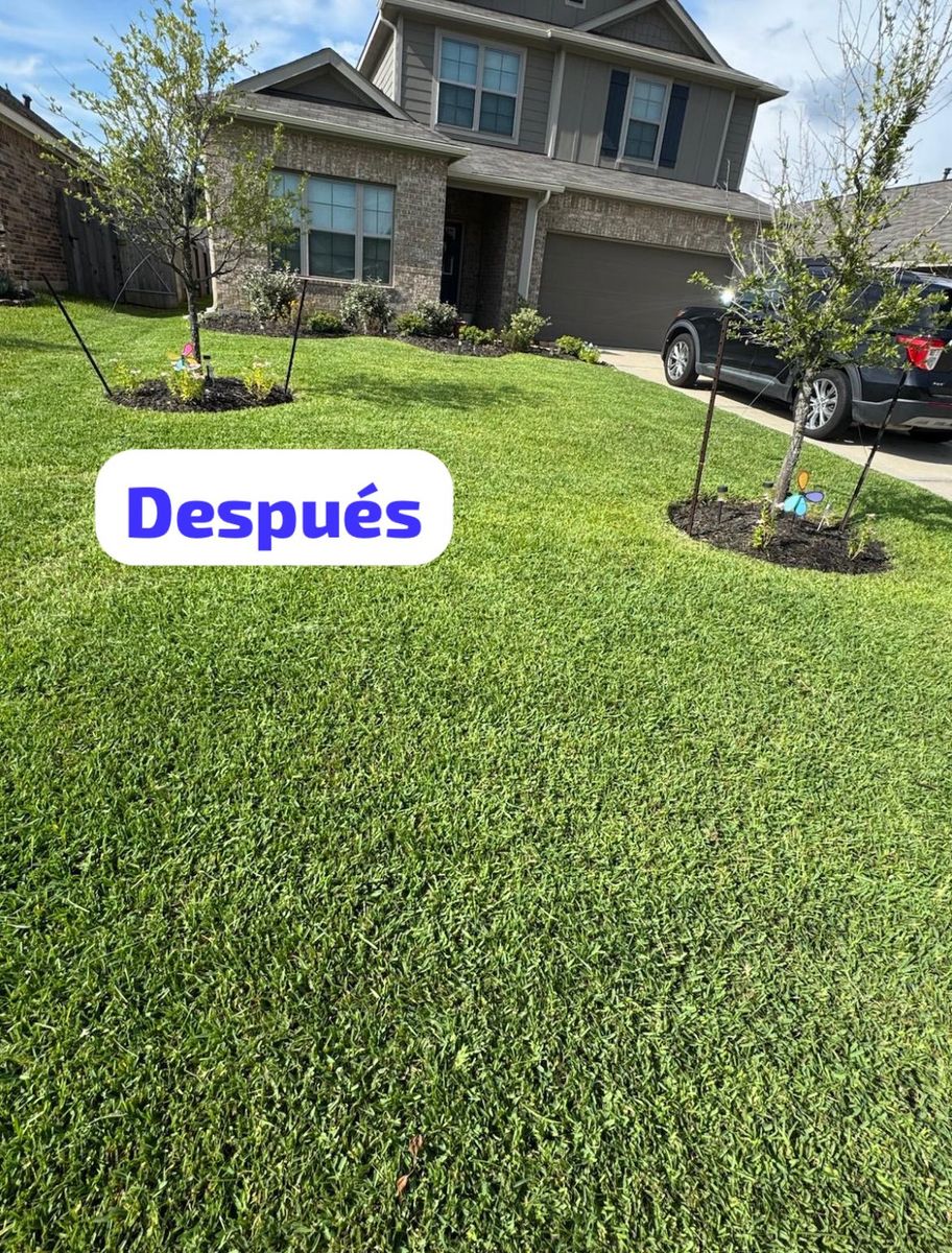 Mowing for Loredo's Landscaping in New Caney, TX