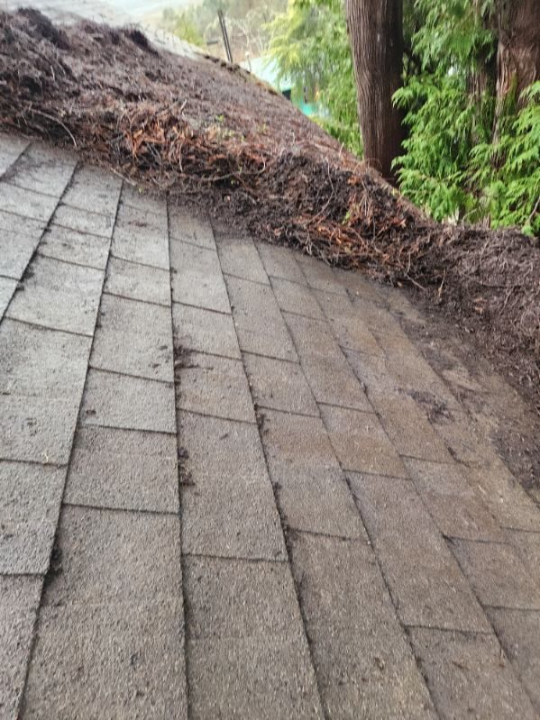 Gutter and Roof Cleaning for Bob's Yard Care & Landscaping in Raymond, WA