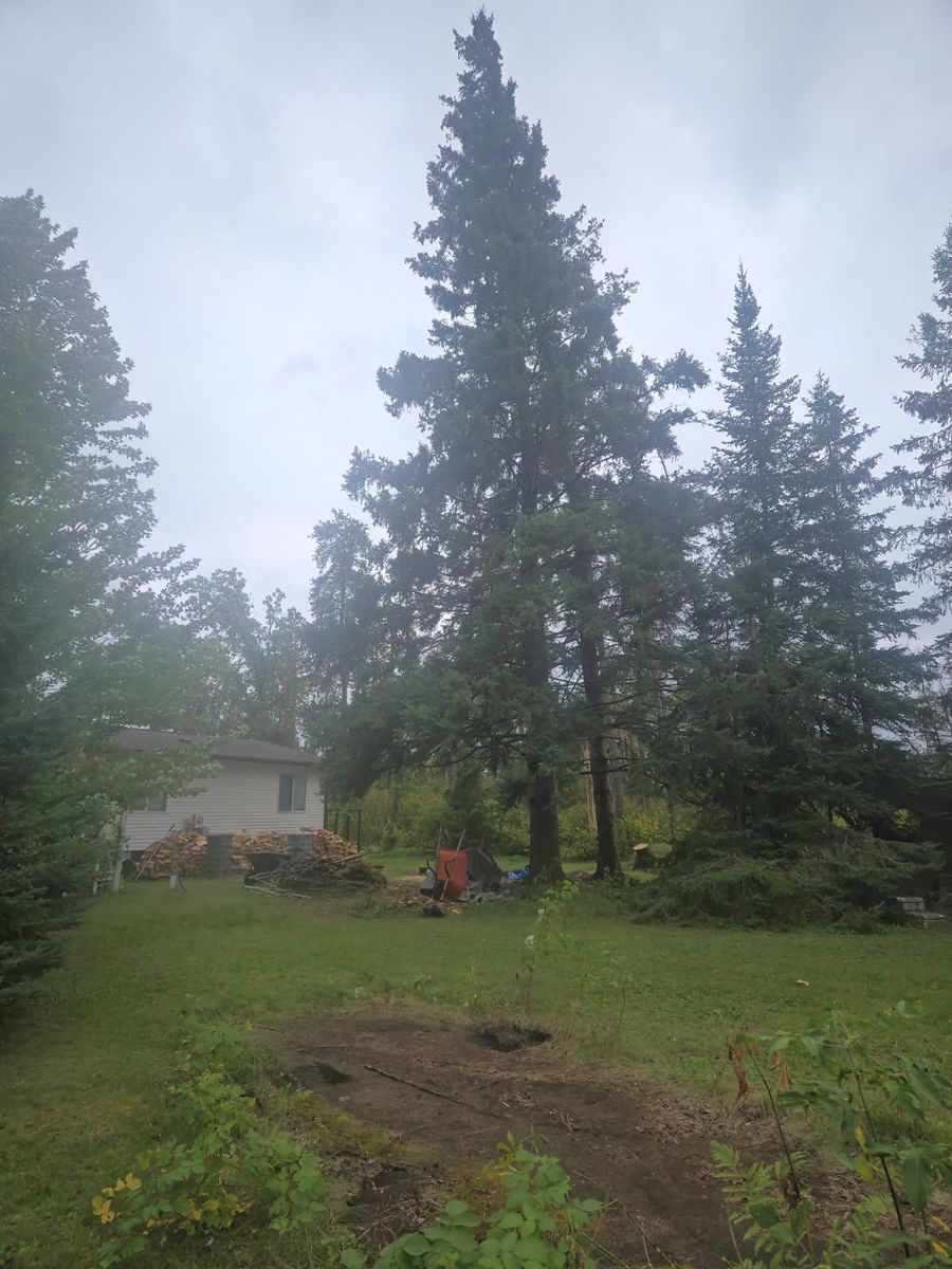 Landscaping for Dan's Tree Service LLC in Bemidji, MN