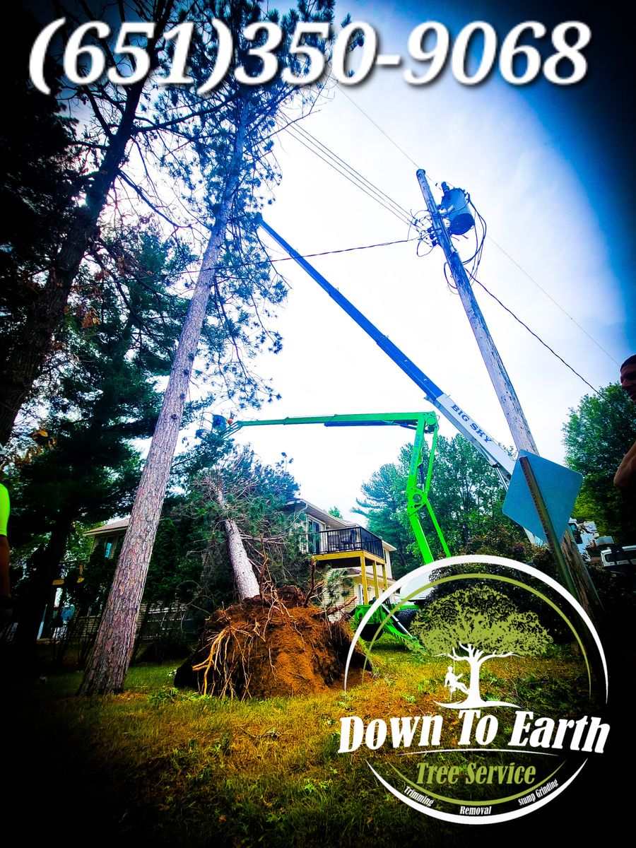 24-7 Emergency Tree Removal for Down To Earth Tree Service in Red Wing,  Minnesota