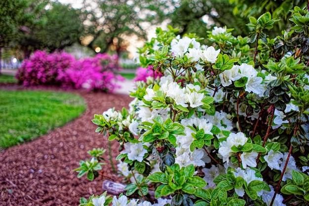 Landscape Installation for Valadez Landscaping LLC in Fort Worth, TX