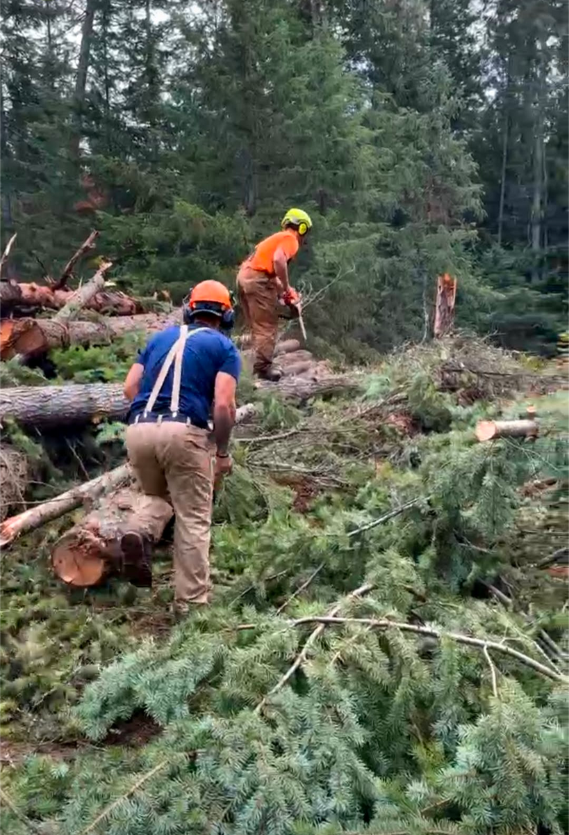 Small Scale Logging for King & Sons Urban Forestry in Coeur d'Alene, ID