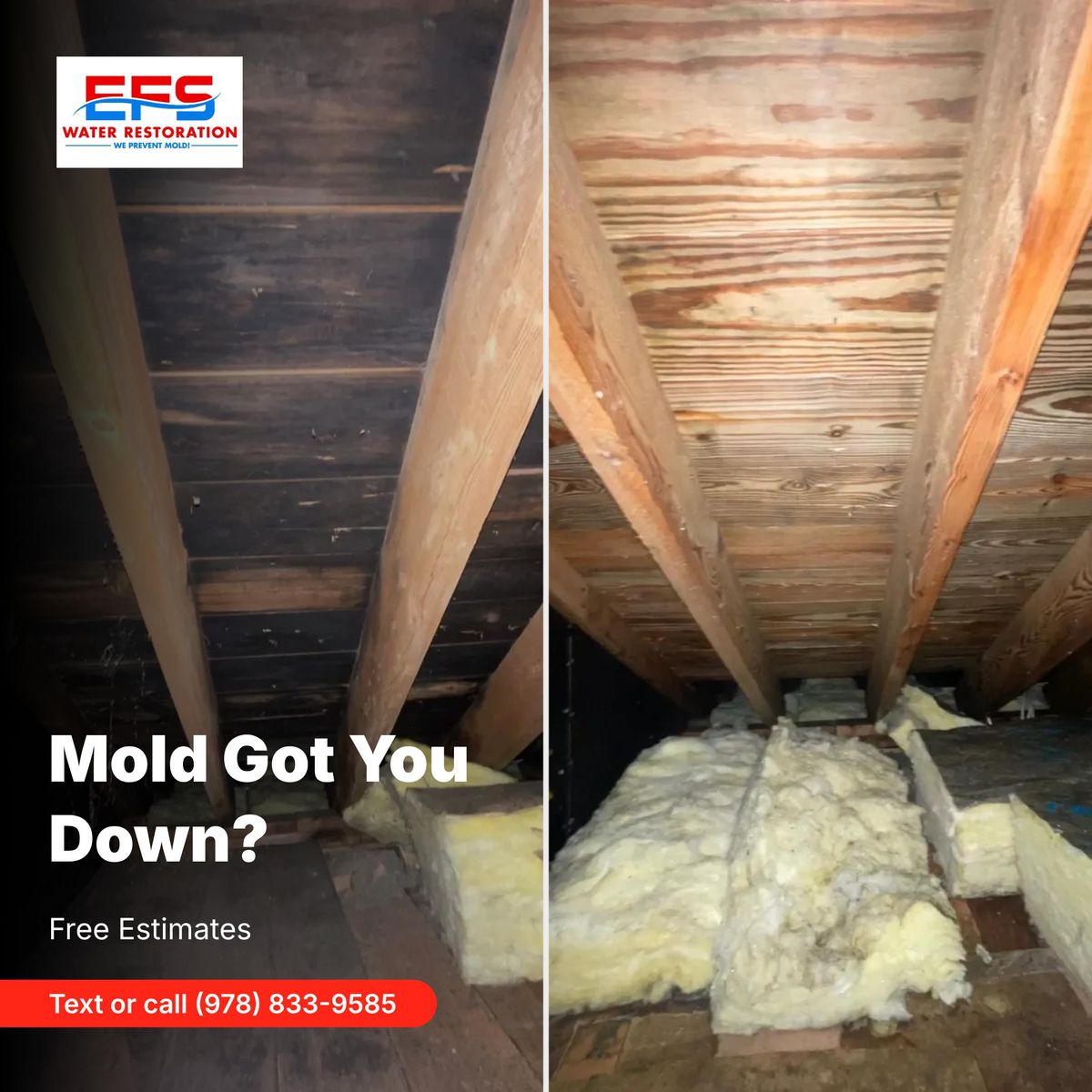 Structural Cleaning & Sanitization for EFS Water Restoration in Phillipston, MA