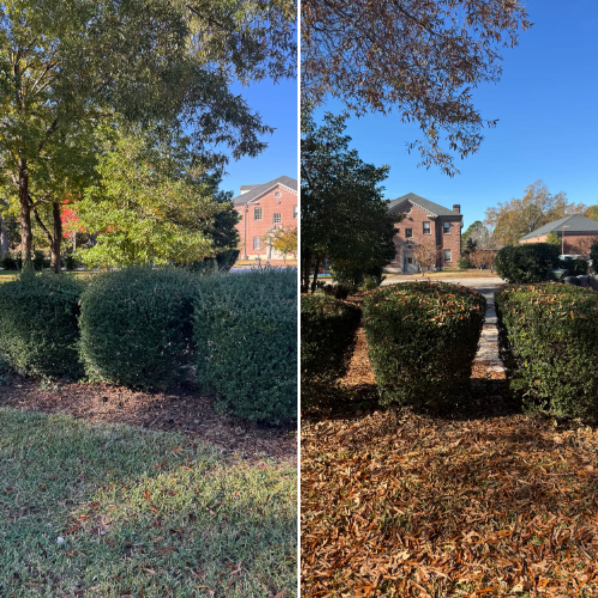 Mowing for Paul's Lawn Care and Pressure Washing in Wilson, NC