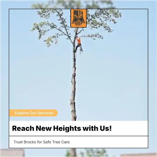 Tree Trimming for Brocks Tree Service LLC in Rogersville, TN