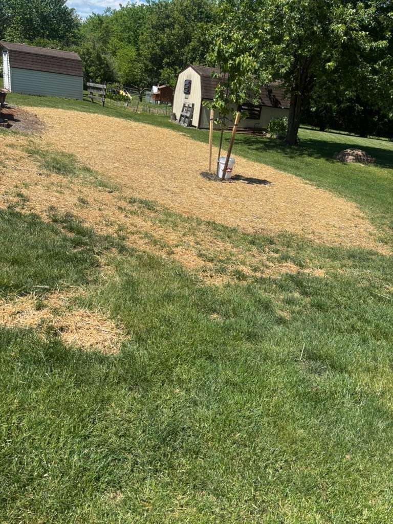 Seeding for Backyard Acres Lawncare LLC in Chambersburg, PA